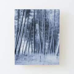 Eternal Winter - Wood Mounted Print