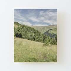 Somewhere in the Catalan Pyrenees  - Wood Mounted Print