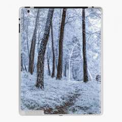 Winter Snowfall - iPad Skin