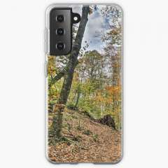 Walking Through Jordan's Beech Wood - Samsung Galaxy Soft Case