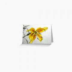The Yellow Lily - Greeting Card