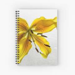 The Yellow Lily - Spiral Notebook