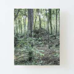 Neverending Summer at La Fageda d'en Jordà - Canvas Mounted Print