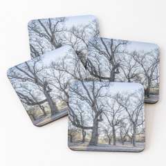 A Winter Morning (Roureda de les Tàpies, Catalonia) - Coasters (Set of 4)