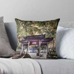 Jiading Confucius Temple (Shanghai, China) - Throw Pillow