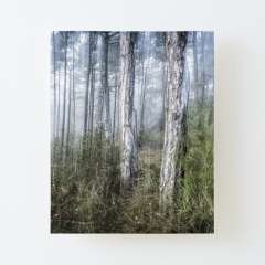 Foggy Morning - Canvas Mounted Print