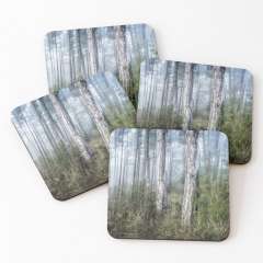 Foggy Morning - Coasters (Set of 4)