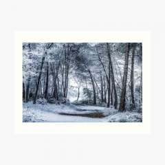 Unexpected Snowfall - Art Print