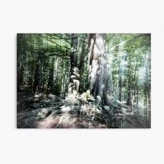 Strong Roots - Metal Print