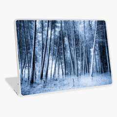Eternal Winter - Laptop Skin