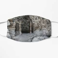 Inside an Old Wine Vat Shelter (Catalonia) - Flat Mask