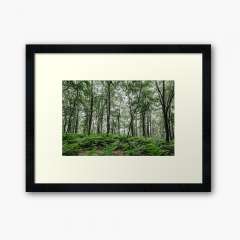 A Summer Day in the Forest - Framed Art Print