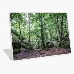 Roques Encantades III (Catalonia) - Laptop Skin