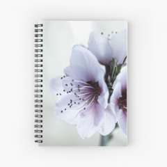 White Almond Flowers - Spiral Notebook