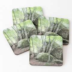 Breaking Rocks (Enchanted Rocks, Catalonia) - Coasters (Set of 4)