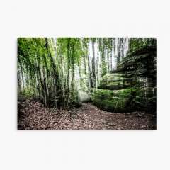 Stones and Trees (Enchanted Rocks, Catalonia) - Canvas Print