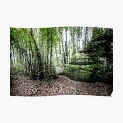 Stones and Trees (Enchanted Rocks, Catalonia) - Poster