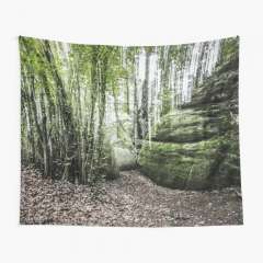 Stones and Trees (Enchanted Rocks, Catalonia) - Tapestry