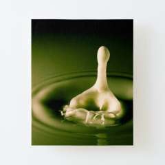 A Milk Drop Down And Up  - Canvas Mounted Print