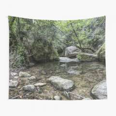 Martinet Creek (Aiguafreda, Catalonia) - Tapestry