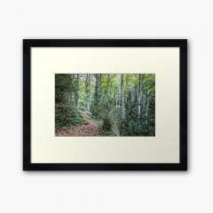 Walking Through La Grevolosa (Sant Pere de Torelló, Catalonia) - Framed Art Print