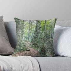 Walking Through La Grevolosa (Sant Pere de Torelló, Catalonia) - Throw Pillow