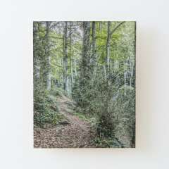 Walking Through La Grevolosa (Sant Pere de Torelló, Catalonia) - Wood Mounted Print