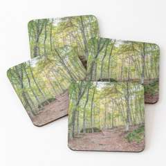 Autumn in the Enchanted Rocks (Catalonia) - Coasters (Set of 4)