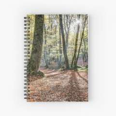 Fageda d'en Jordà, Autumn 2016 (Catalonia) - Spiral Notebook