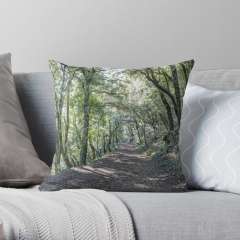 Path Between Trees (Santa Pau, Catalonia) - Throw Pillow