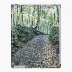 Walking Between Rocks and Trees - iPad Snap Case
