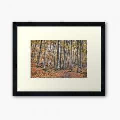 Autumn at La Fageda d'en Jordà - Framed Art Print