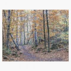 Looking for The Right Path (Fageda d’en Jordà, Catalonia) - Jigsaw Puzzle