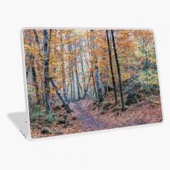 Looking for The Right Path (Fageda d’en Jordà, Catalonia) - Laptop Skin