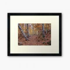 Neverending Autumn in la Fageda d'en Jordà - Framed Art Print