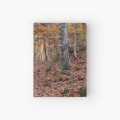 Neverending Autumn in la Fageda d'en Jordà - Hardcover Journal