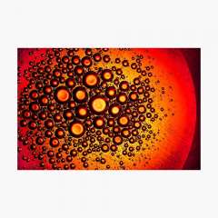 Circles Within Circles - Photographic Print