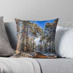 Path Throw The Snow - Throw Pillow