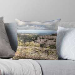 The views from Montcau's hillside - Throw Pillow