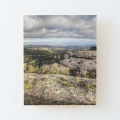 The views from Montcau's hillside - Wood Mounted Print