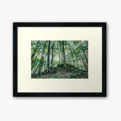 Fageda d'en Jordà  (The Jordan's beech wood, Catalonia) - Framed Art Print