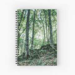 Fageda d'en Jordà  (The Jordan's beech wood, Catalonia) - Spiral Notebook