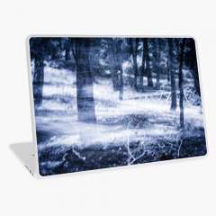 The Coldest Day - Laptop Skin