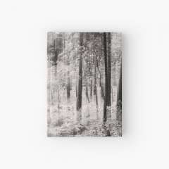 Dreamland - Hardcover Journal