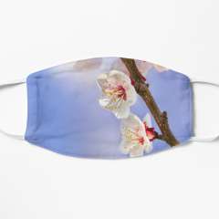 Apricot Flowers - Flat Mask