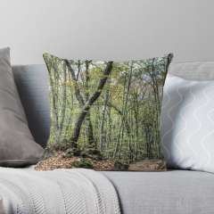 X Marks the Spot - Throw Pillow