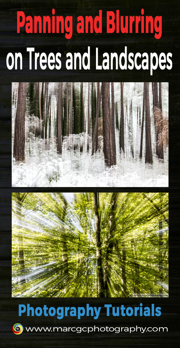 Lear how to capture remarkable blurred trees and other less common, but interesting, ways to blur landscapes.