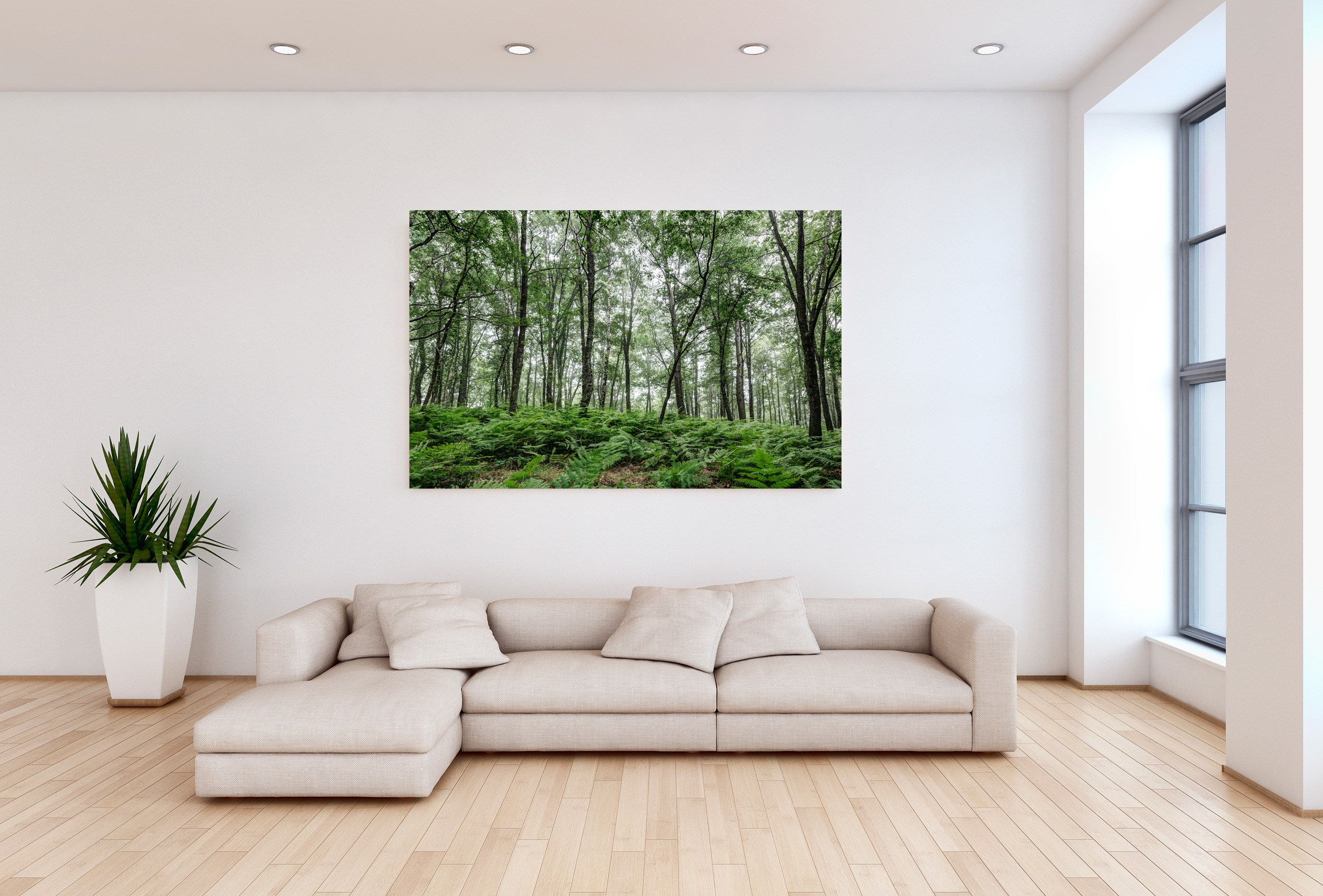 A Summer Day in the Forest - Metal Print