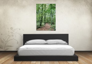 Path Between Trees - Canvas in a Bedroom by Marc G.C. Photography